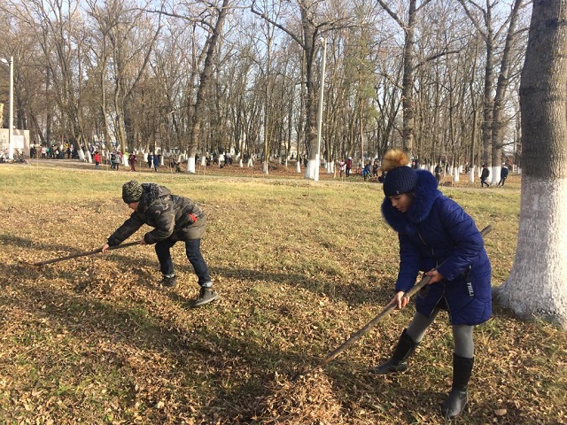 a sybbotnik 11 2019 2