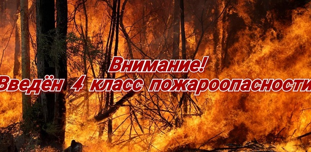 pojar20220706 01