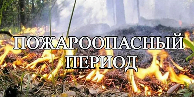 pojarn20221125 01