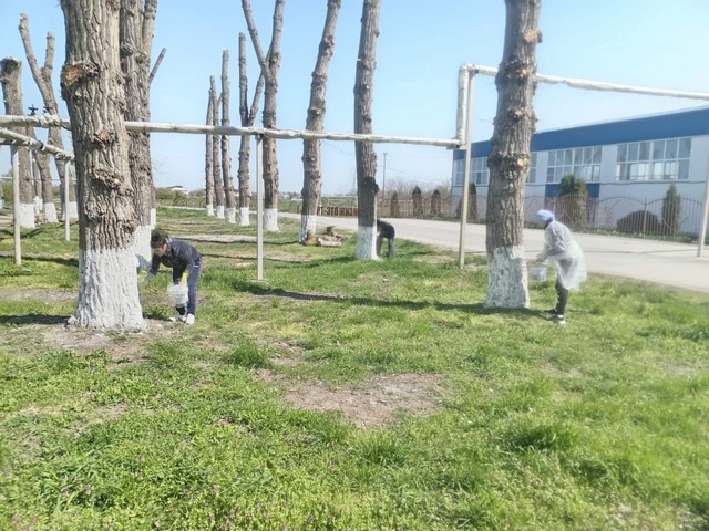 foto 2025 05 07 16 16 004